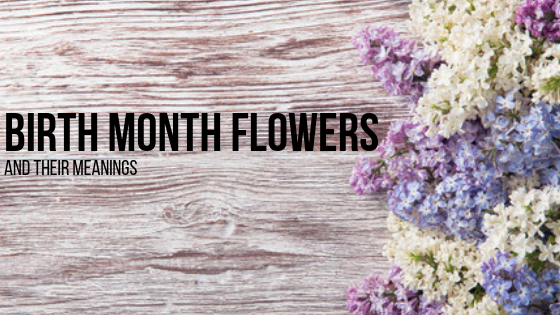 Birth Month Flowers and their Meanings