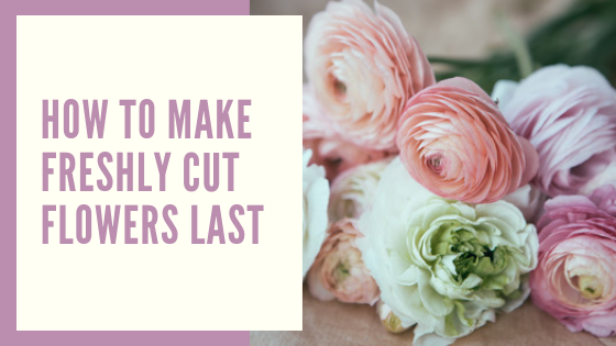 How to Make Freshly Cut Flowers Last Longer